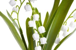 Kunstblume Maiglöckchen im Glas | Weiß
