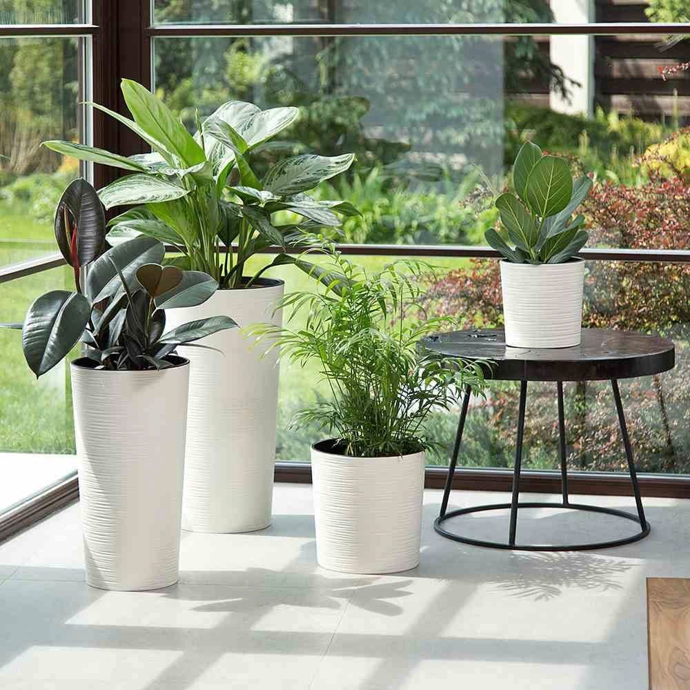 Siena Garden Pflanzkübel | Weiß