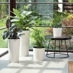 Siena Garden Pflanzkübel | Weiß