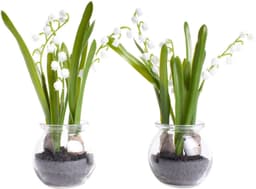 Kunstblume Maiglöckchen im Glas | Weiß