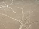 merinos Teppich Creation 50055 | Beige 5