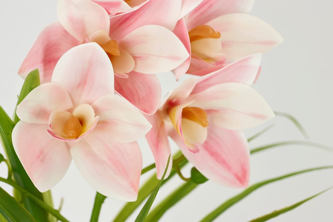 Kunstorchidee Phalaenopsis im Topf | Rosa