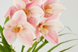 Kunstorchidee Phalaenopsis im Topf | Rosa