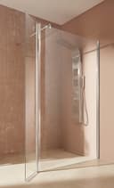 welltime Walk-in-Dusche Mailand | Silber