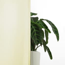 Bruno Banani Vorhang Lagan | Beige