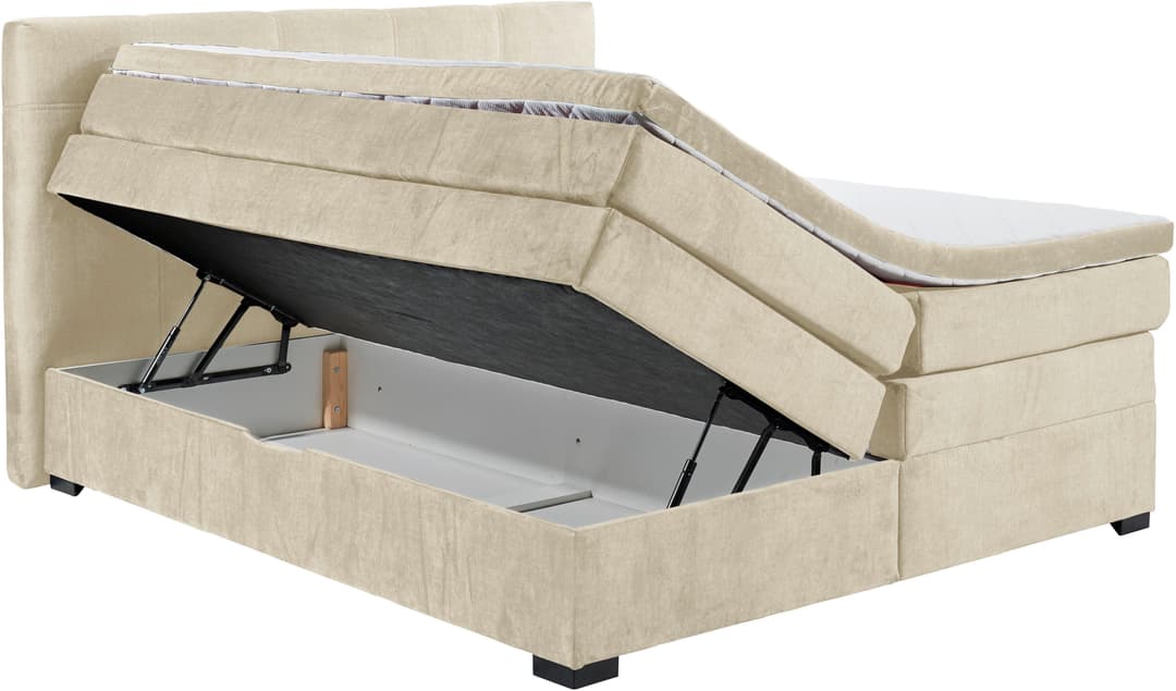 ED EXCITING DESIGN Boxspringbett Fanes | Beige