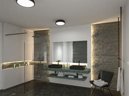 Paulmann Selection Bathroom Oka Deckenleuchte | Schwarz