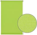 Seitenzugrollo EASYFIX Rollo Uni | Grün 3