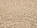 the carpet Teppich Kansas | Beige 5
