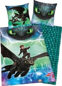 Kinderbettwäsche Dragons Abenteuer | Mehrfarbig