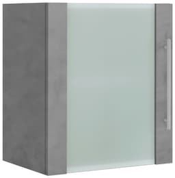 wiho Küchen Glashängeschrank Flexi2 Breite 50 cm | Grau