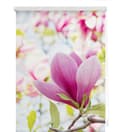 Seitenzugrollo Klemmfix Motiv Magnolie | Rosa