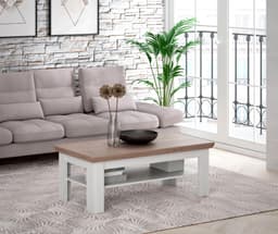 FORTE Couchtisch Iloppa | Holztöne