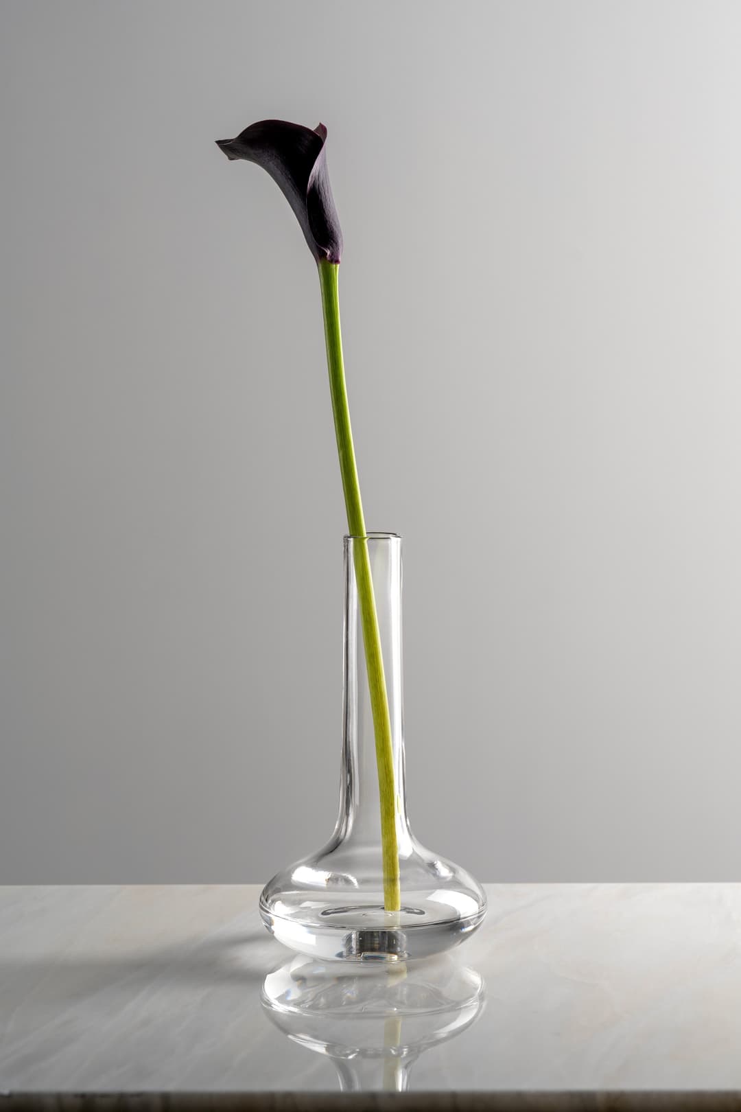 Leonardo ARIA Dekovase | Transparent