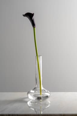 Leonardo ARIA Dekovase | Transparent