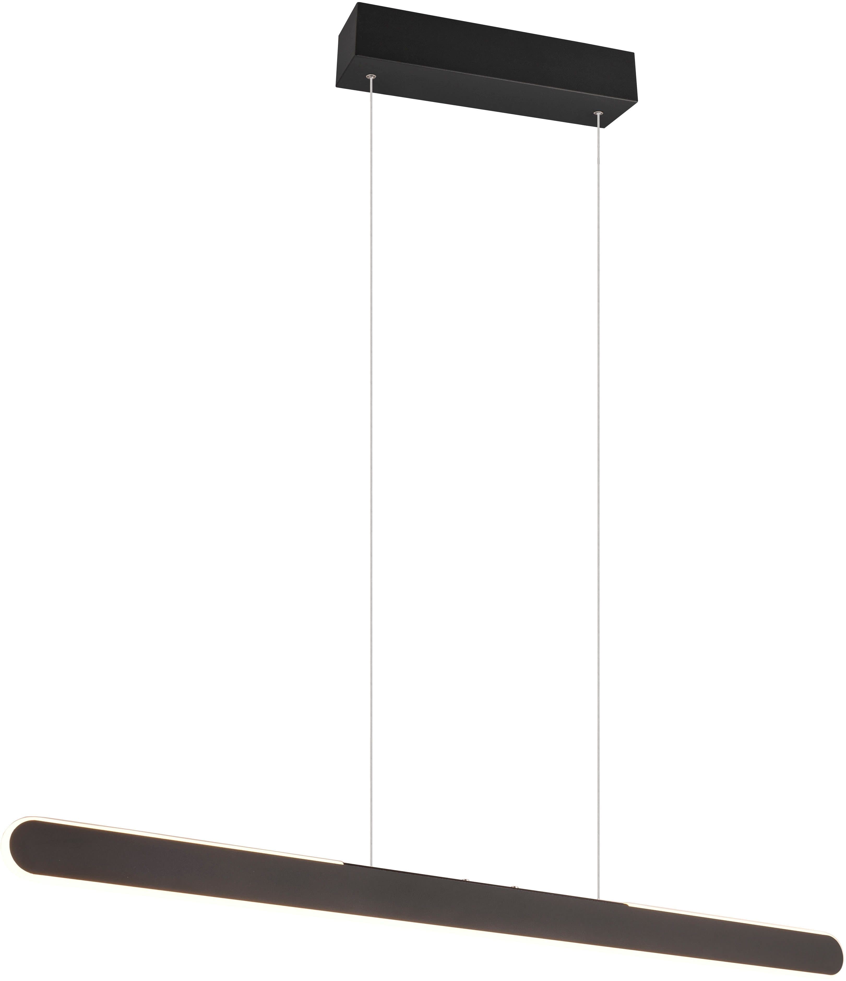 TRIO Leuchten LED Pendelleuchte HELIOS | Schwarz