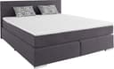 COTTA Boxspringbett Simba | Grau