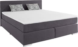 COTTA Boxspringbett Simba | Grau