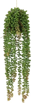 Künstliche Hängepflanze Senecio I.GE.A. | Grün