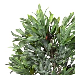 Künstliche Olive | Grün