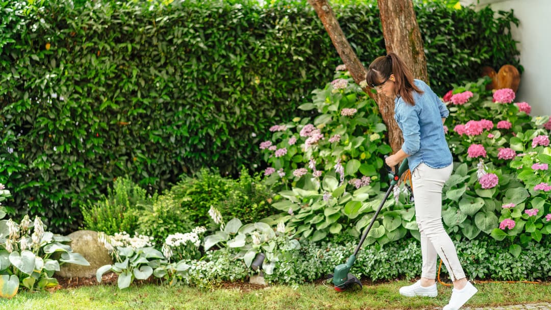 Bosch Home & Garden Elektro-Rasentrimmer EasyGrassCut 23 | Grün