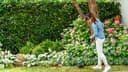 Bosch Home & Garden Elektro-Rasentrimmer EasyGrassCut 23 | Grün 2