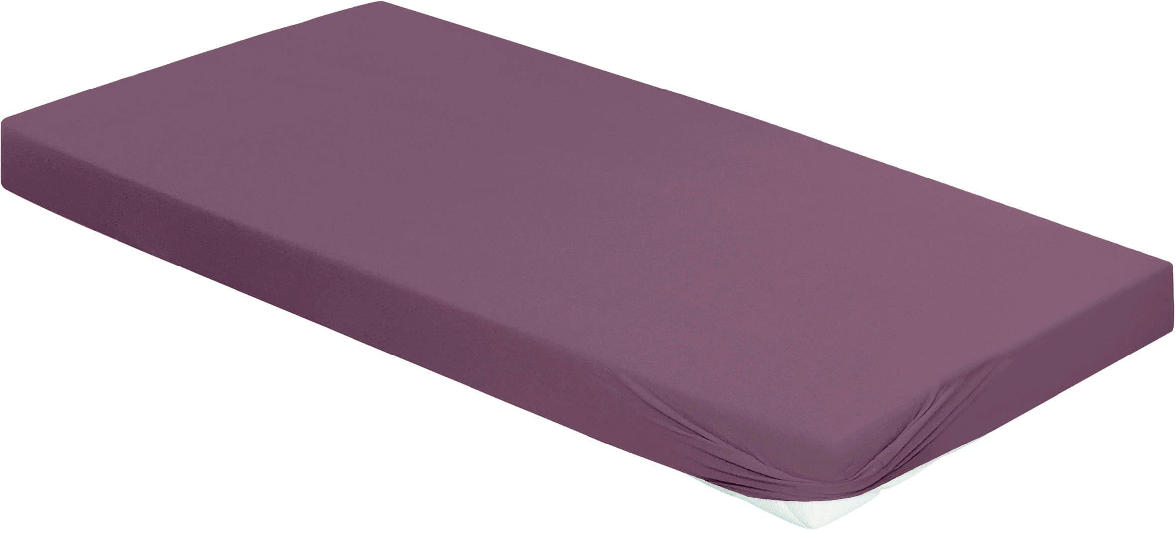 BIERBAUM Jersey Spannbettlaken | Lila