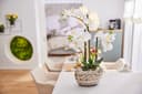 Kunstpflanze Orchidee | Weiß 4