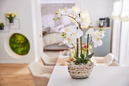 Kunstpflanze Orchidee | Weiß