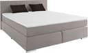 COTTA Boxspringbett Simba | Grau