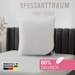 SPESSARTTRAUM Daunenkissen FIRST CLASS | Weiß