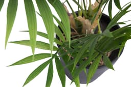 Künstliche Zimmerpflanze Chamaedorea Palme | Grün