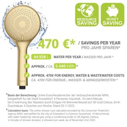 WENKO Handbrause Watersaving | Gold