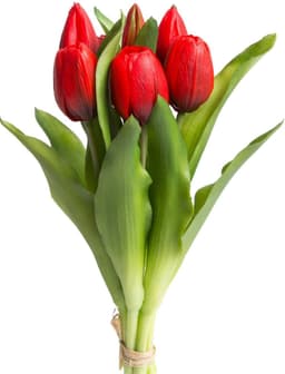 Kunstblume Willa Tulpe | Rot