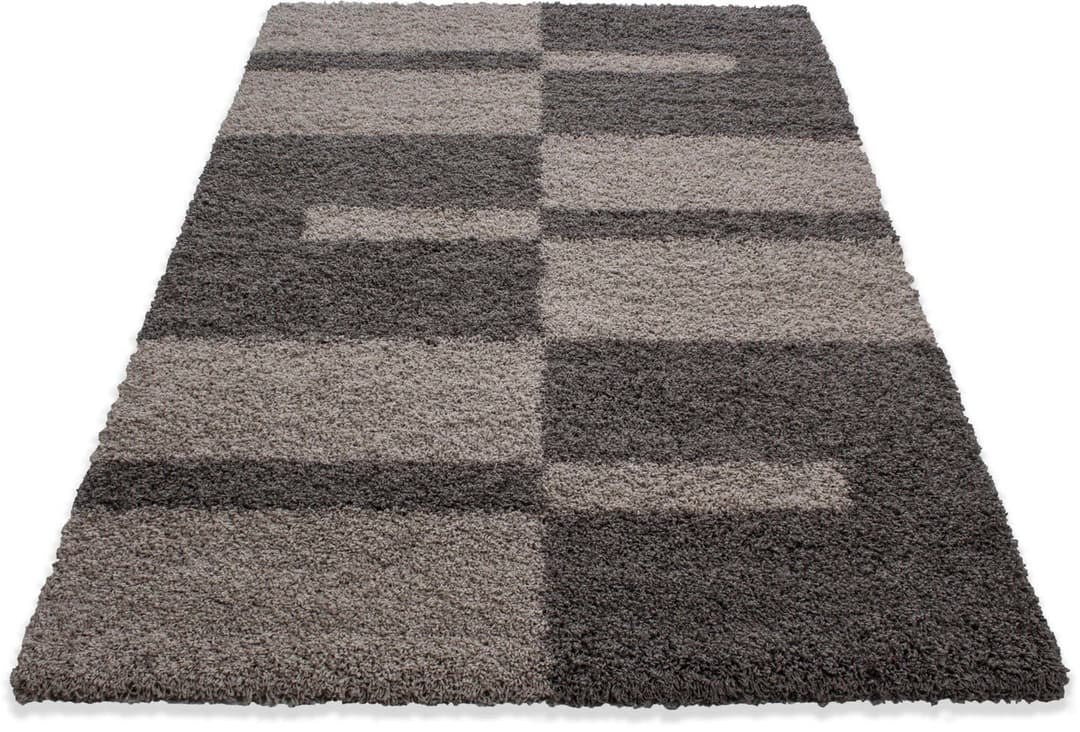 Ayyildiz Teppiche Hochflor-Teppich Gala Shaggy 2505 | Braun