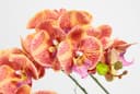 Kunstblume Orchidee I.GE.A. | Orange 2