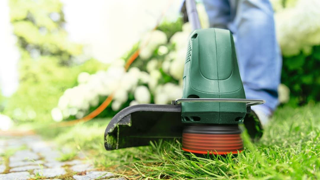 Bosch Home & Garden Elektro-Rasentrimmer EasyGrassCut 23 | Grün