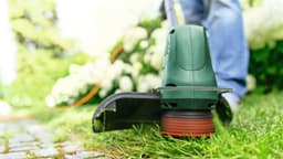 Bosch Home & Garden Elektro-Rasentrimmer EasyGrassCut 23 | Grün