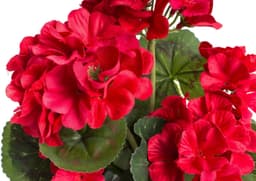 Kunstblume Geranienbusch | Rot