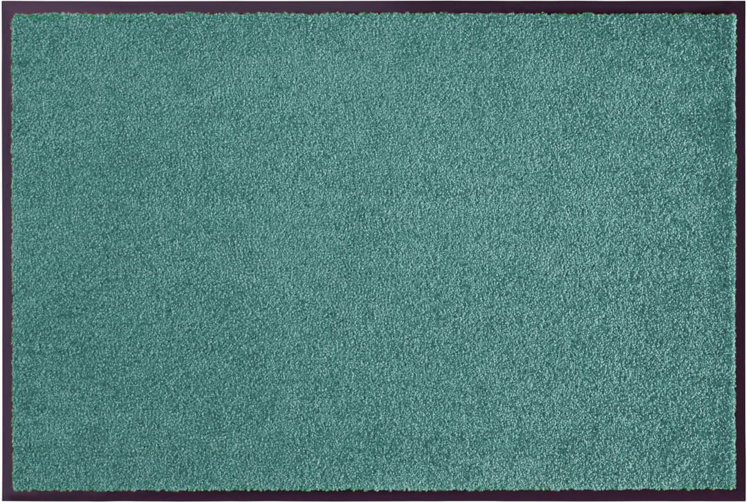 HANSE Home Fußmatte Wash & Clean | Grün