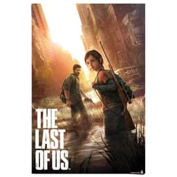 Reinders! Poster Playstation - the last of us | Mehrfarbig