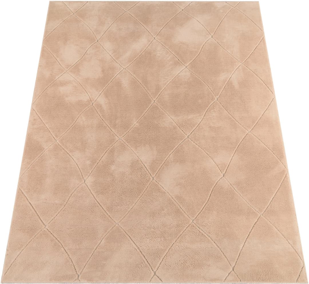 Paco Home Teppich Utrecht 641 | Beige