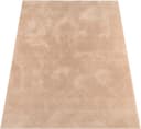 Paco Home Teppich Utrecht 641 | Beige 2