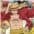 Herding Wendebettwäsche One Piece | Mehrfarbig