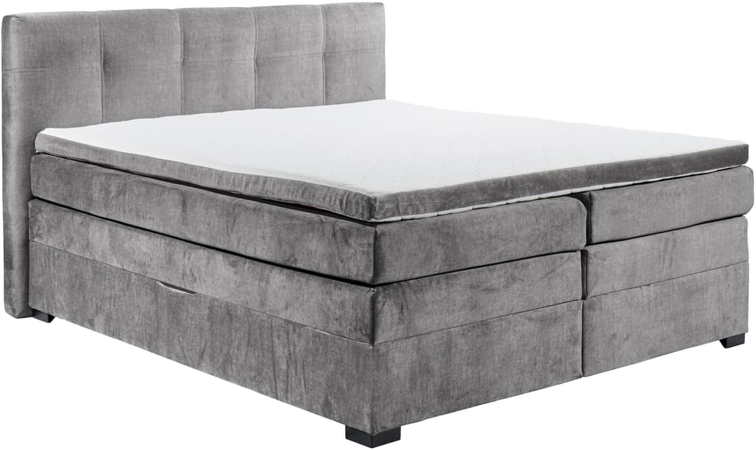 ED EXCITING DESIGN Boxspringbett Fanes | Grau