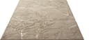 Teppich Mila | Beige 3