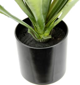 Künstliche Agave Aloe Vera | Grün