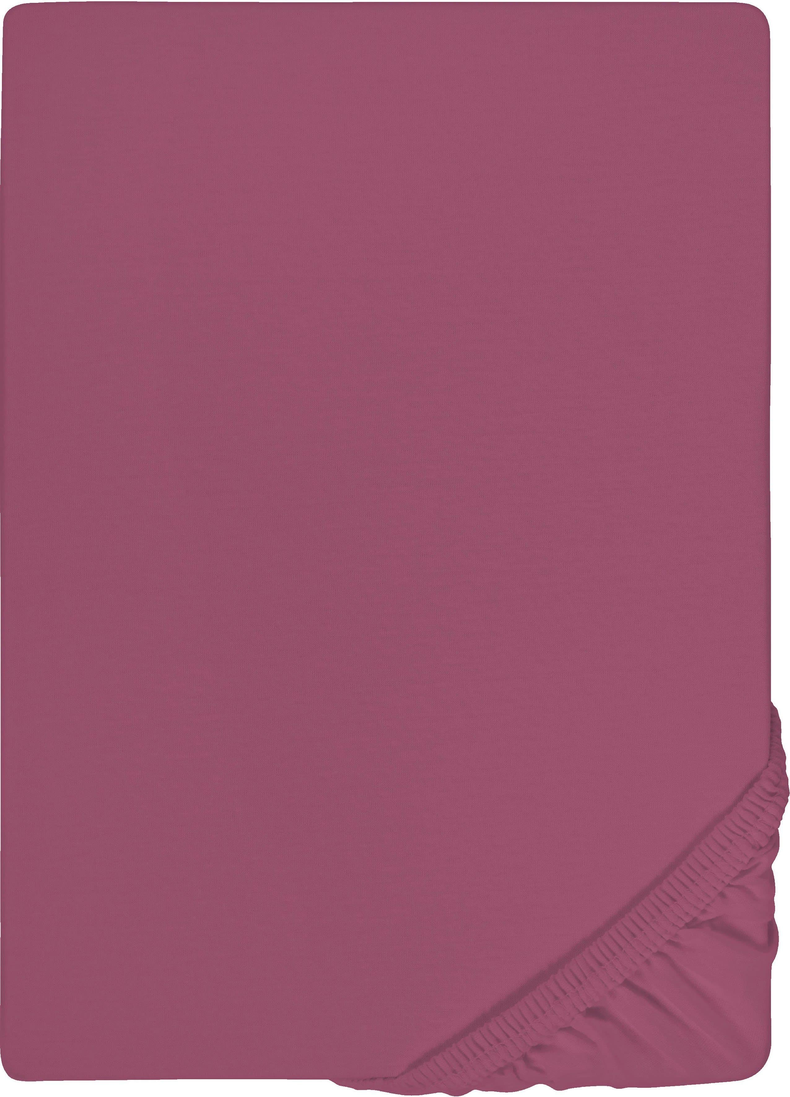 Castell Spannbettlaken Jersey | Lila