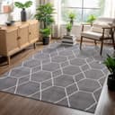 Sanat Teppich Trellis | Grau