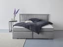 COLLECTION AB Boxbett "Athena" | Grau